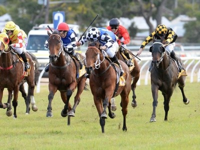 Australian Bloodstock: Buying The Right Elite Performers To  ... Image 1